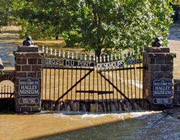 Located on the banks of the Brandywine River, Hagley Museum and Library suffered millions of dollars in damage as the remnants of Hurricane Ida dumped heavy rains on the region. (photo courtesy Hagley Museum and Library)