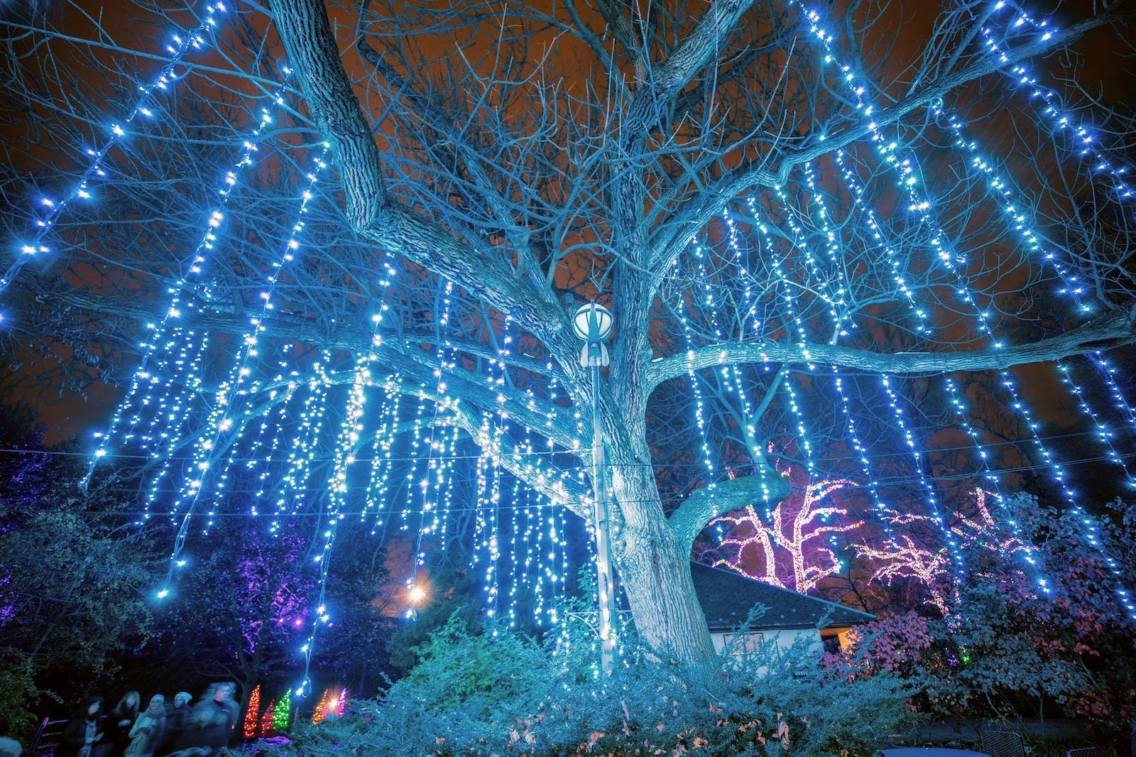 Zoo Christmas Lights Philadelphia 2021