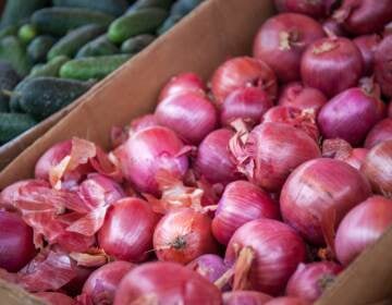 Onions are pictured at a market