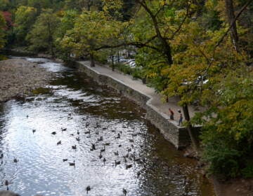 Wissahickon Valley Park.