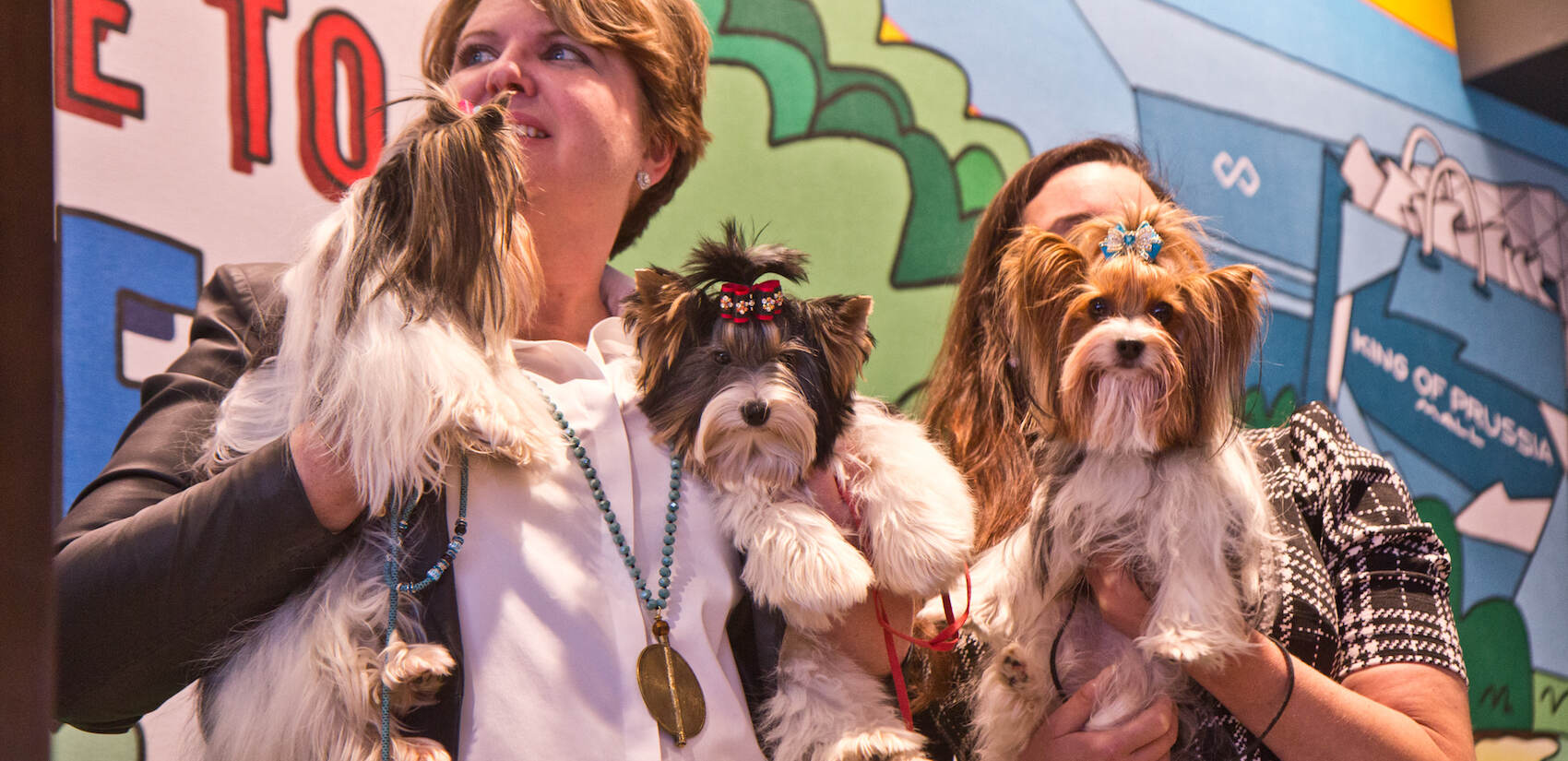 Adrianne Dering holds Biewer Terriers CC and Rain (left), and Whitney Aronson holds OnY at the preview of the 2021 National Dog Show. (Kimberly Paynter/WHYY)