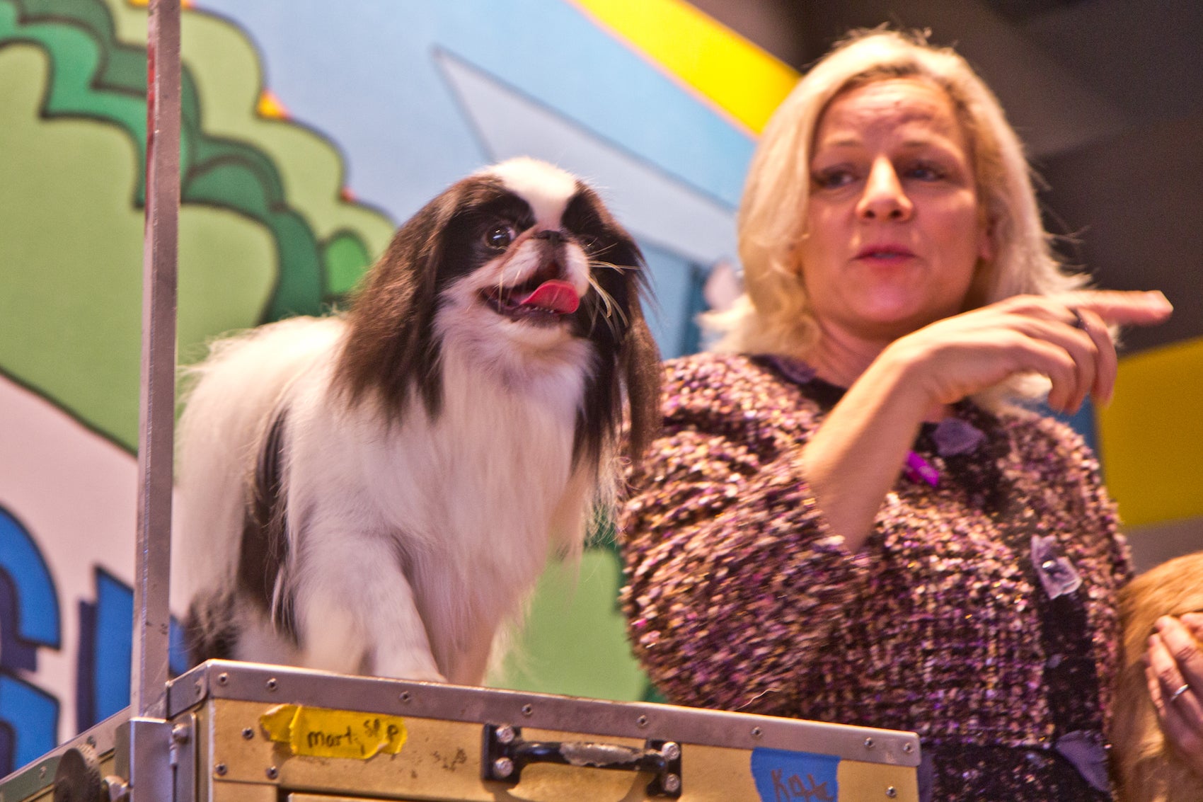 Charming Canine Contestant at JC Photography Dog Show 2023