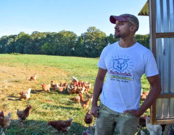 Chris Newman started a farm to raise chickens and pigs sustainably, with plenty of outdoor space. He'd also like the food to be affordable. (Alan Yu/WHYY) 