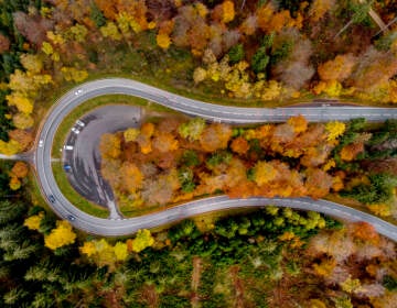 Colorful trees stand near a road through the Taunus region