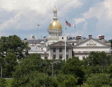 The New Jersey State House is seen in Trenton, N.J., Tuesday, June 27, 2017. (AP Photo/Seth Wenig)