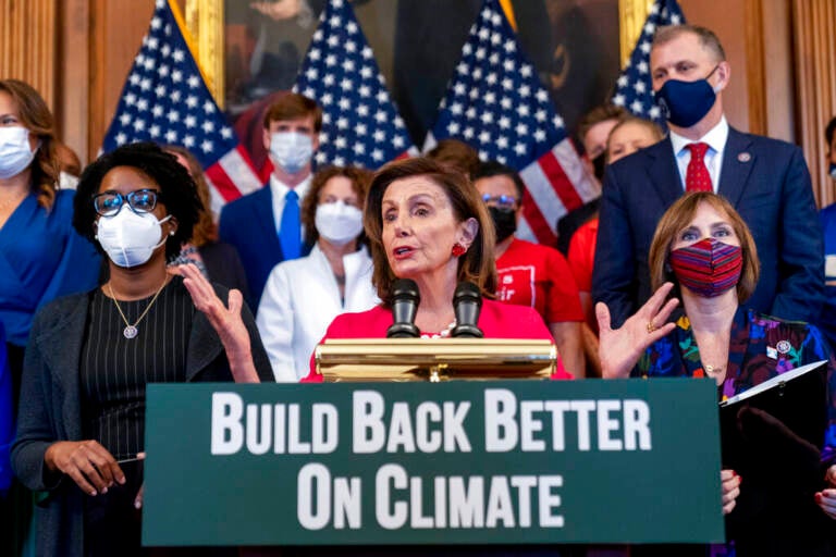 House Speaker Nancy Pelosi of Calif., accompanied by other House Democrats and climate activists, pauses while speaking about their 