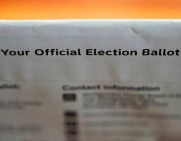 Mail-in election ballot. (AP Photo/Matt Rourke)