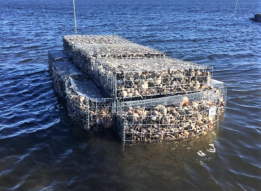 Living shoreline project to save Barnegat Bay beachfront - WHYY