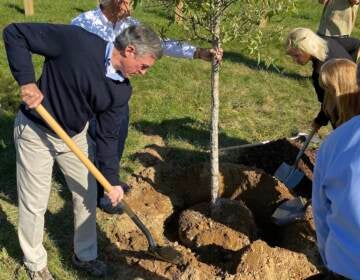 Delaware Gov. John Carney helps plant a tree at Lt. Joseph L. Szczerba Memorial Park