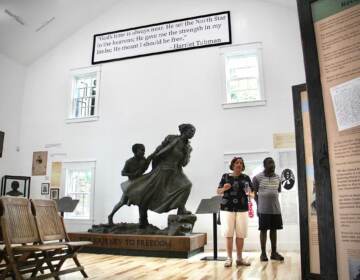 A statue is pictured in a museum