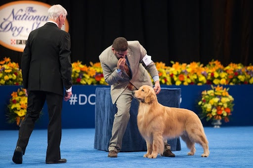 ennel Club of Philadelphia National Dog Show