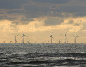 Offshore wind farm