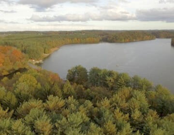 Save CWA believes that public access to the Octoraro Reservoir in Lancaster County, a free recreational hub, is at stake