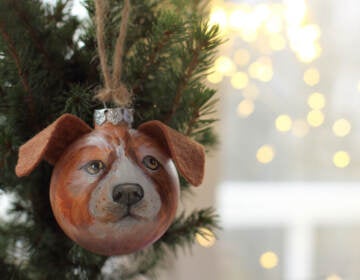 A Christmas glass ball decoration depicting a dog's face