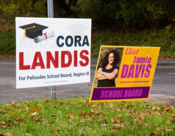 Lawn signs are pictured for school board candidates