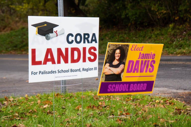 Lawn signs are pictured for school board candidates