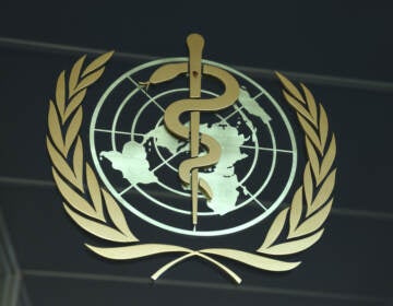 GENEVA, SWITZERLAND - JUNE 15: The headquarters of the World Health Organization (WHO) stands on June 15, 2021 in Geneva, Switzerland. The organization has been at times seen itself under an uncomfortable political spotlight during the coronavirus pandemic. (Photo by Sean Gallup/Getty Images)