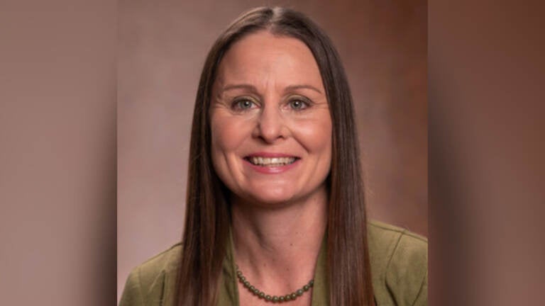 Melissa Lyon, newly named Delaware County health director. (LinkedIn)