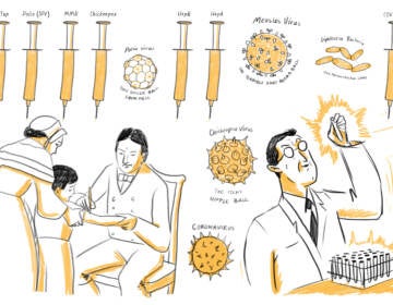 A look at the history of vaccines in schools. (LA Johnson/NPR)
