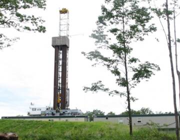 A gas well pad in the Tiadaghton State Forest. (Marie Cusick / StateImpact Pennsylvania)