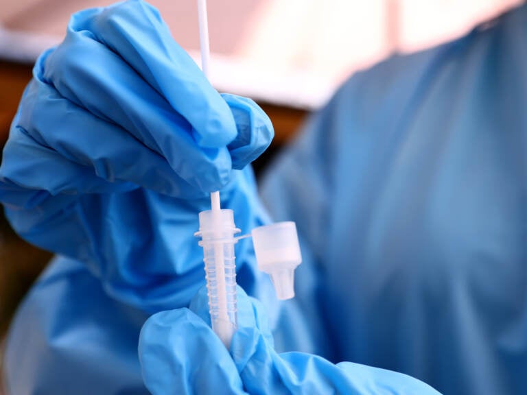 A registered nurse stirs a nasal swab in testing solution