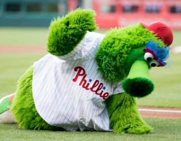 The Phillie Phanatic pounds the ground