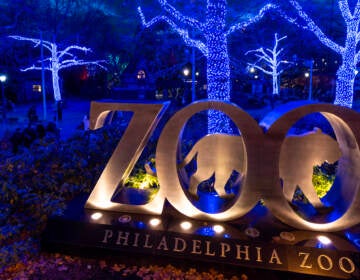 Illuminated trees behind the main Philadelphia Zoo entrance sign.