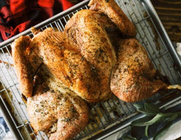 To get properly cooked dark meat without sacrificing a tender breast, some cooks choose to spatchcock their turkey before they roast it.
(Derek Campanile / Dad With A Pan)