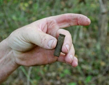 In this Thursday Sept. 25, 2014 photo, Kenny King, 59, of Ethel, W.Va., displays a shell casing dating back to World War I on the grounds of Blair Mountain, W.Va. The Battle of Blair Mountain, a five-day skirmish between law enforcement and union miners in the coalfields of southern West Virginia, occurred here. Environmental groups, including the Sierra Club, have joined King in petitioning the National Register of Historic Places to declare Blair Mountain a historic landmark. (AP Photo/Matt Stroud)