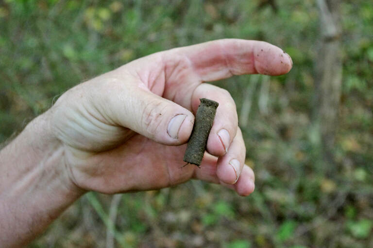 In this Thursday Sept. 25, 2014 photo, Kenny King, 59, of Ethel, W.Va., displays a shell casing dating back to World War I on the grounds of Blair Mountain, W.Va. The Battle of Blair Mountain, a five-day skirmish between law enforcement and union miners in the coalfields of southern West Virginia, occurred here. Environmental groups, including the Sierra Club, have joined King in petitioning the National Register of Historic Places to declare Blair Mountain a historic landmark. (AP Photo/Matt Stroud)