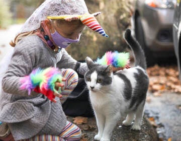 A young girl dressed as a unicorn pets a cat on a Philly street