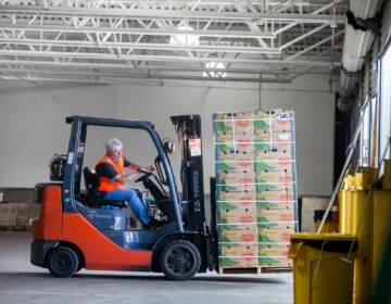 Plantains are moved back in to shipping containers after being inspected at the U.S. Customs and Border Protection's Centralized Inspection Station in South Philadelphia. (Brad Larrison for WHYY)