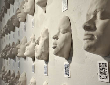 Dozens of students enrolled in University of Pennsylvania's introductory anthropology course ''Anthropology, Race, and the Making of the Modern World'' made plaster casts of their own faces. In the exhibit ''Rotten Foundations, Dangerous Footholds'', each is accompanied by a QR code that leads viewers to discover details about the individual.