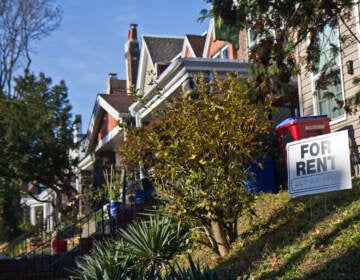 Houses in West Philadelphia's Wynnefield neighborhood