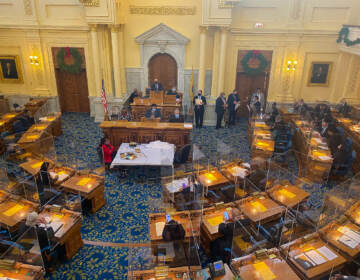 N.J. General Assembly voting on a bill to address gun violence on Monday, December 20, 2021. (Tennyson Donyéa / WHYY)