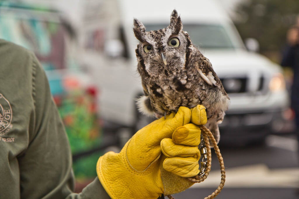 Nazar is held up by a gloved hand