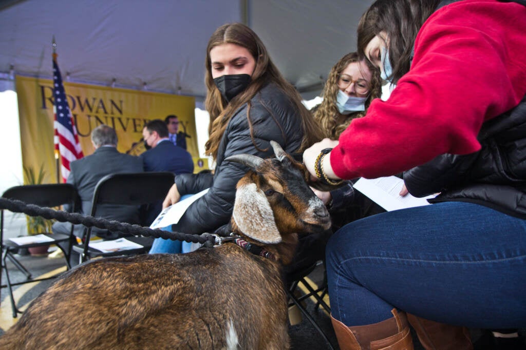 A goat is greeted by an event attendee