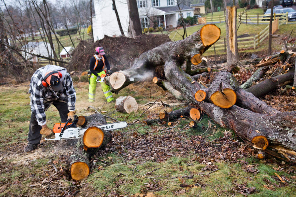 The Upper Dublin Chainsaw Gang has been working for the past four months to clear debris resulting from a tornado that ripped through the area in September, 2021