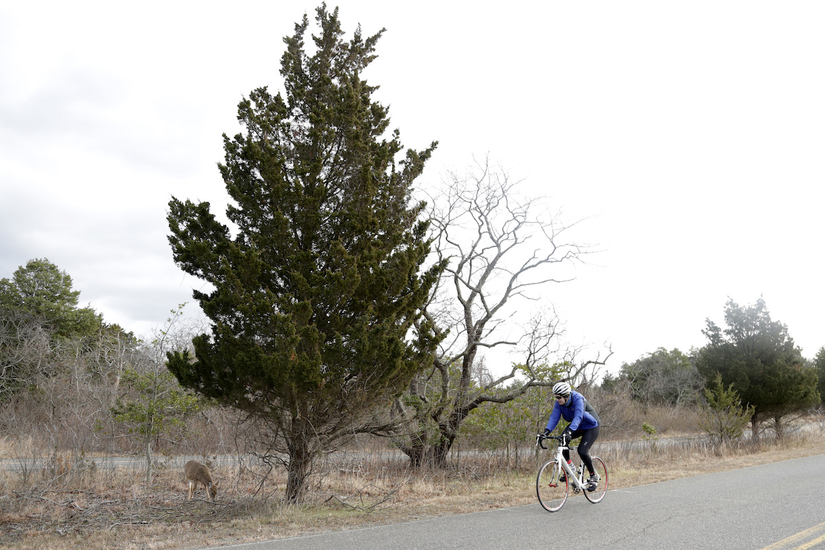 Fatal crashes involving cyclists and pedestrians in N.J. at highest number since 1989 - Vimarsana News