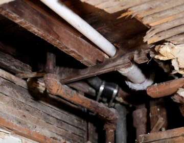 A lead pipe , left, is seen in a hole the kitchen ceiling in the home of  Desmond Odom, Thursday, Nov. 8, 2018, in Newark, N.J. AP Photo/Julio Cortez)