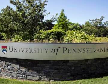 Penn to be first Ivy League school to offer AI degree - WHYY