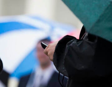 A person checks their cellphone. (AP Photo)