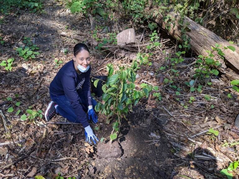 Gabriella Gabriel Paez plants a tree. (Courtesy of Gabriella Gabriel Paez)