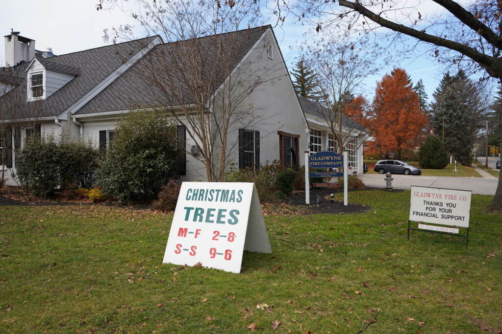 Selling Christmas trees is a major fundraising campaign for the Gladwyne Fire Company as well as other suburban fire squads