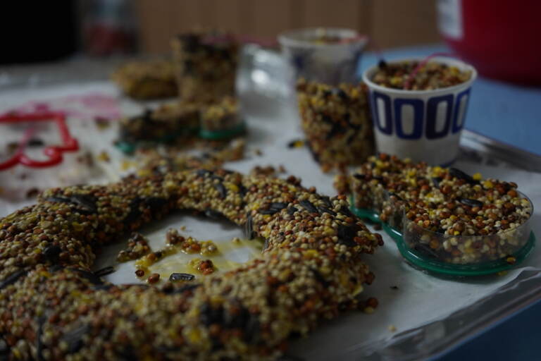 The birdseed ornaments need to be placed in the refridgerator overnight to maintain there shape as they are hung up with twine