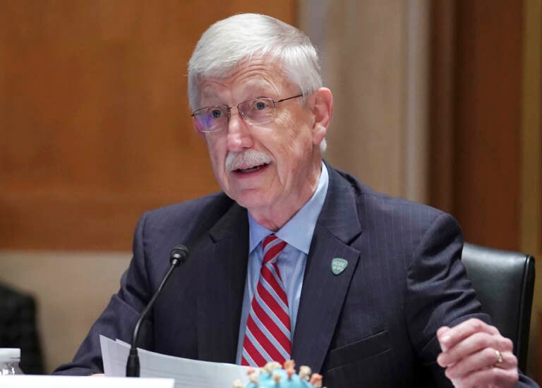 NIH Director Dr. Francis Collins holds up a model of the coronavirus as he testifies before a Senate Appropriations Subcommittee looking into the budget estimates for National Institute of Health (NIH) and the state of medical research, Wednesday, May 26, 2021, on Capitol Hill in Washington. (Sarah Silbiger/Pool via AP)