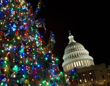 U.S. Capitol is seeing behind the Christmas Tree in Washington, Wednesday, Dec. 14, 2016