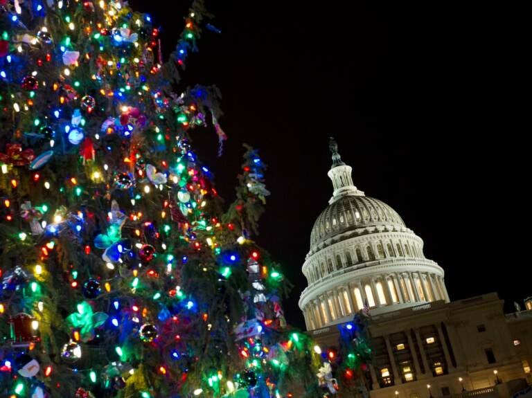 U.S. Capitol is seeing behind the Christmas Tree in Washington, Wednesday, Dec. 14, 2016