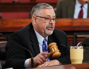 Sen. Cris Dush speaks during a hearing while holding a gavel