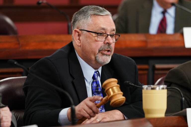 Sen. Cris Dush speaks during a hearing while holding a gavel